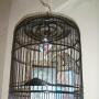 Birdcage No.1;