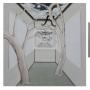 Look at Each other_120cm*120cm,60cm*60cm.