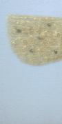 Listen to The Rain_160cm*88cm*7.5cm;